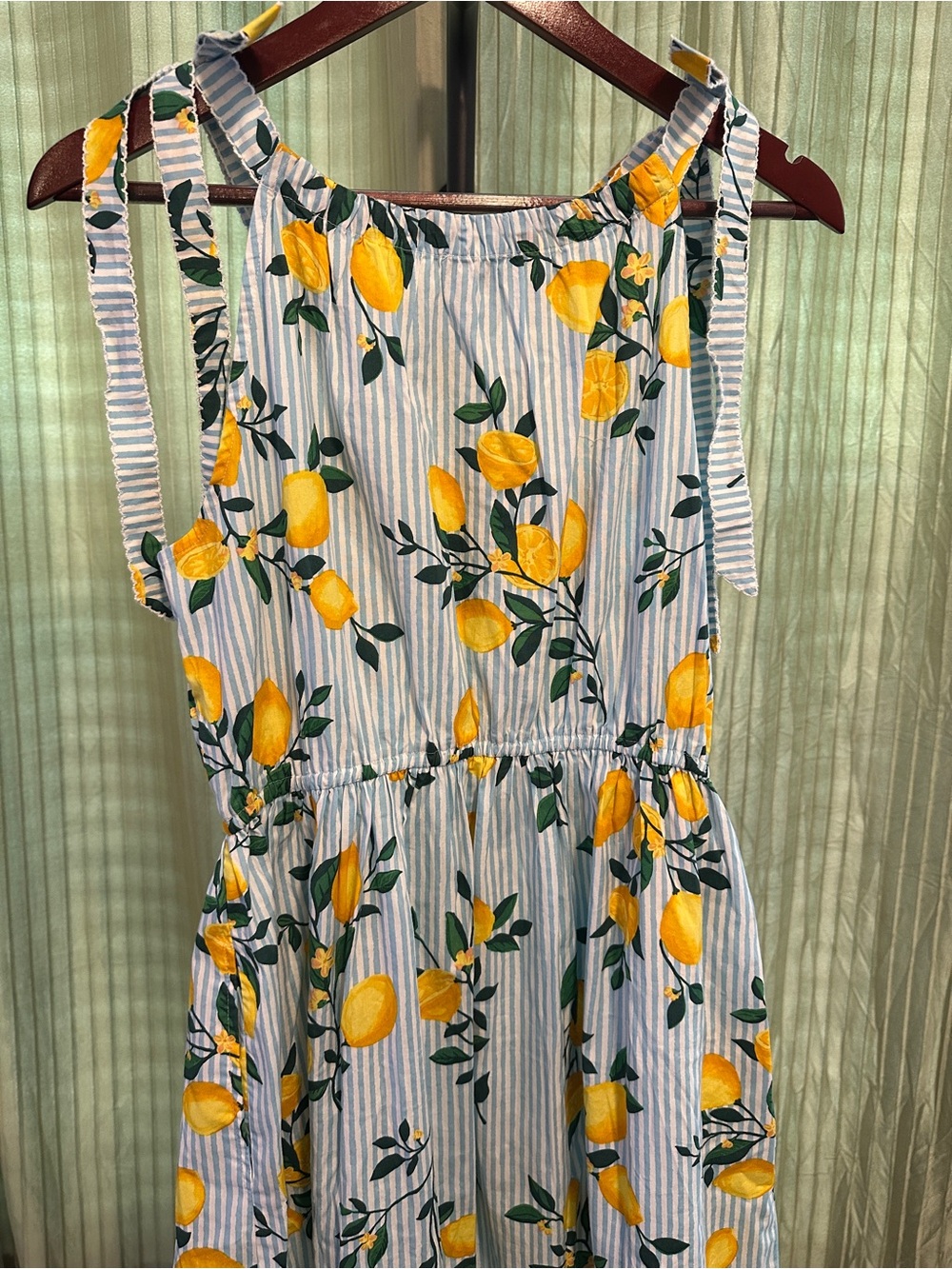 J. Crew Lemon Print Striped Maxi Dress - Picture 6 of 6